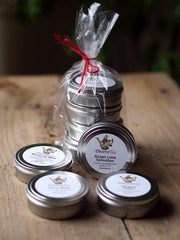 DiversiTea Sampler (4 pack)